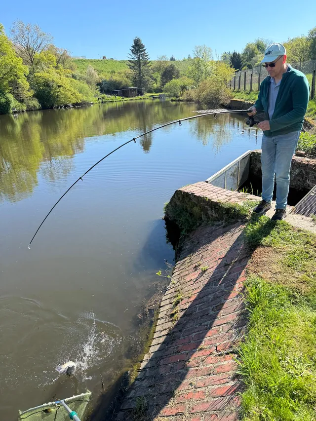 Der Bahneweiher im Grünen